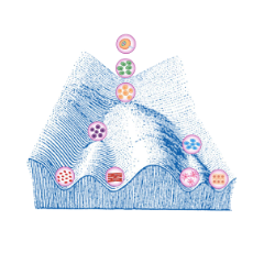 citation_Mechanistic basis of lineage restriction.png